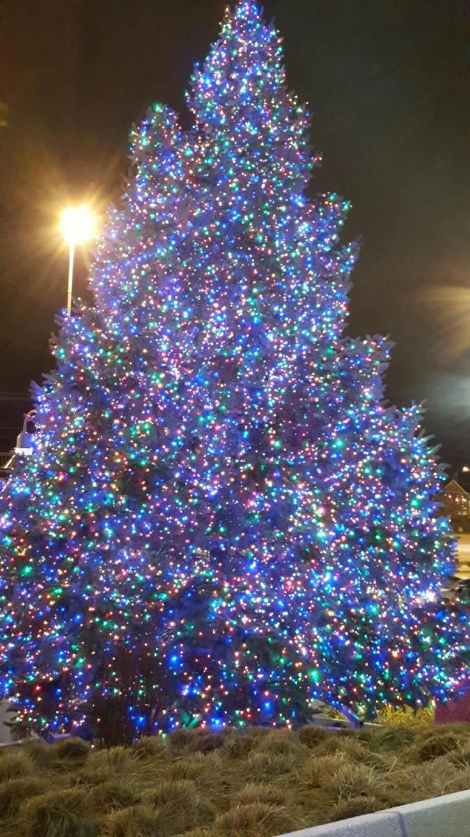 SaucyBossman's tweet photo. She had a good run fun while it lasted im gonna miss you #RallyTree https://t.co/ZvRyDsndOH