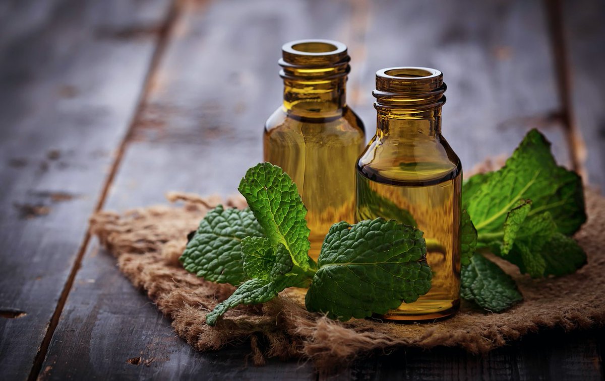 cocoon_skincare's tweet photo. Here's why you should introduce #essentialoils into your #winter routine: https://t.co/RCGpSR36IV https://t.co/sJKcORv0Jq