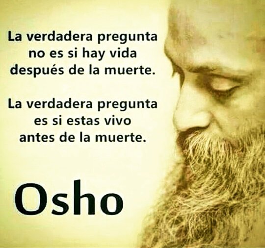No te detengas ni te acomodes. Vive intensamente 👍

#Osho
#PuraVida
#CarpeDiem