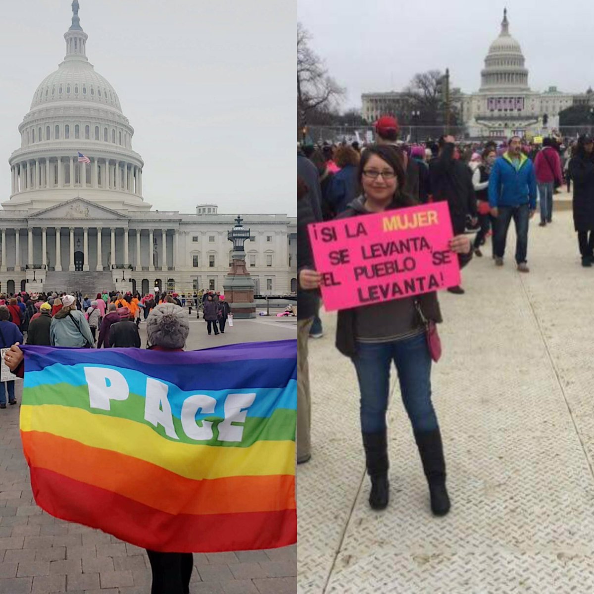 ucr_lsg's tweet photo. Xi Chapter in Washington DC participating in the #WomensMarch this past weekend. #UCRLSG #ΛΣΓ #RiverXideChapter #MulticulturalSorority https://t.co/95CQ026yWo