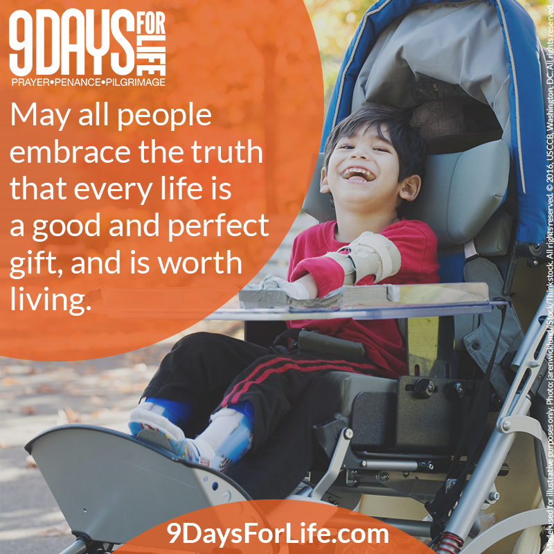 #9DaysforLife: How will (or did) you show someone 
  today that their life is a gift? goo.gl/FY2fcj