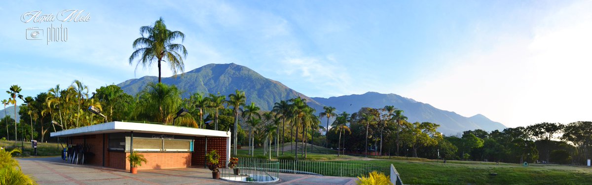 El Ávila desde el Parque del Este <a href="/hacerfotos/">Antonio (@hacerfotos)</a> <a href="/ParqueDelEste/">El PARQUE DEL ESTE</a> <a href="/PintoFotografia/">Pinto Fotografía</a> 
Caracas-Venezuela