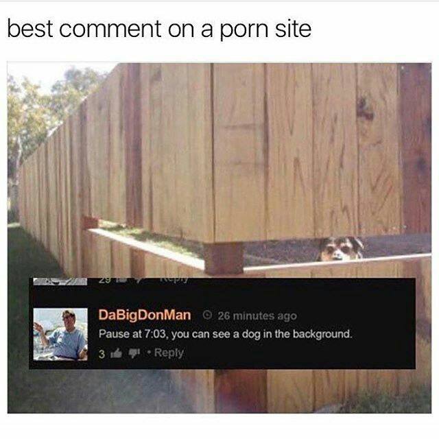 Amelia Hurst (@pedantictown) on Twitter photo 