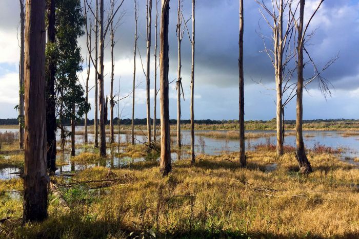 ABCIndigenous's tweet photo. Ancient Aboriginal site a step closer to UNESCO World Heritage status https://t.co/A3XOAyNPbM https://t.co/9mPIyGtxZP