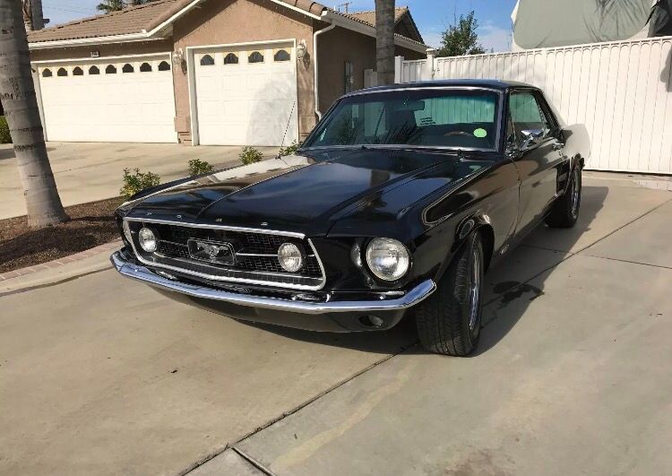 ProjectCars4u's tweet photo. 1967 Ford Mustang
More pictures, info, and price.. Click Here: https://t.co/2mrMSKW69m https://t.co/oPQNgqJtvF