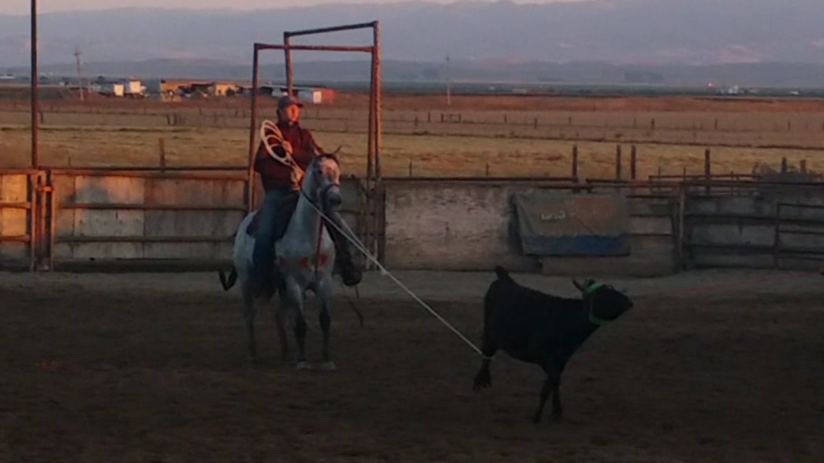 Congratulations <a href="/TyBargar/">Ty Bargar</a> for joining our Short Go Xtreme team!