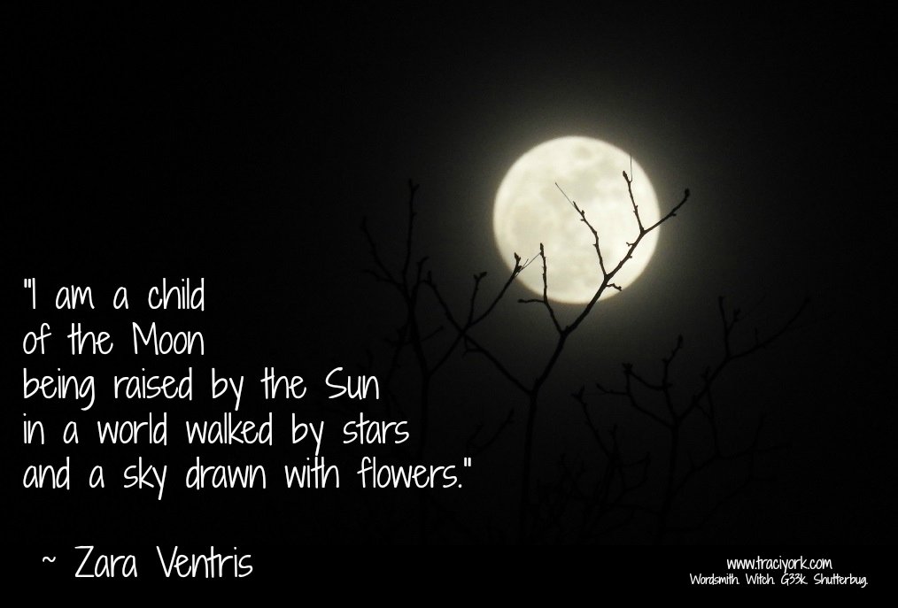 TraciYorkWriter's tweet photo. A simple graphic for today's #MicroblogMonday 

https://t.co/3SLgjBGCx3

#GoogleWin #GoogleFail #ChildOfTheMoon #ZaraVentris https://t.co/68F924O1Ha