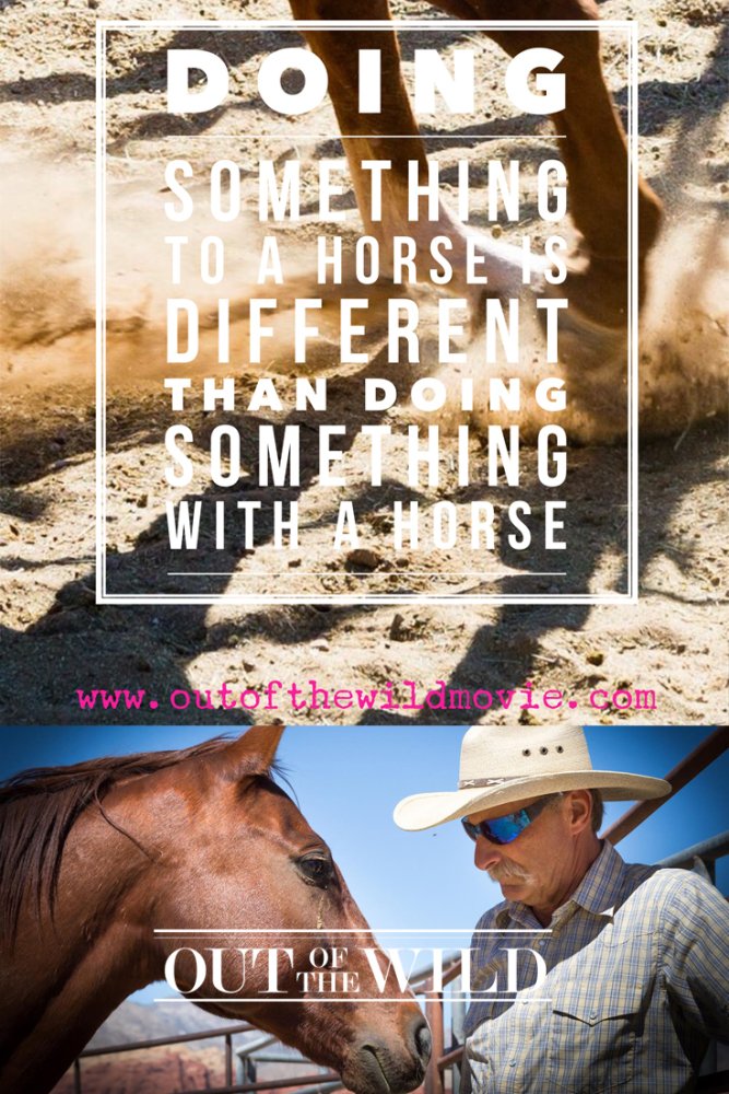 OUT OF THE WILD movie trailer is released! bit.ly/1PRRCIV   #moviemaking #movienews #moviestars Please RT.