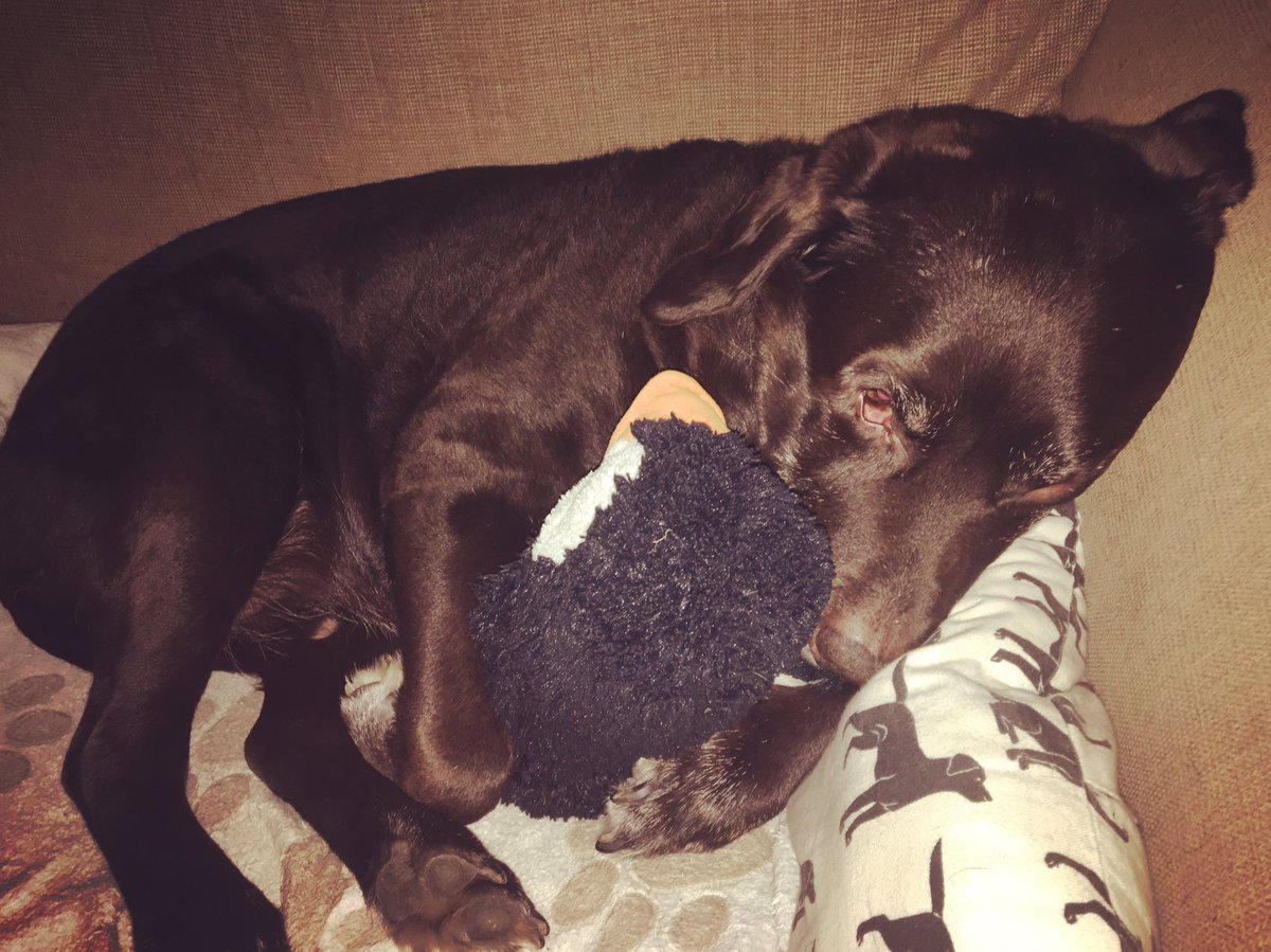 Julie Redfern (@julesredfern) on Twitter photo 