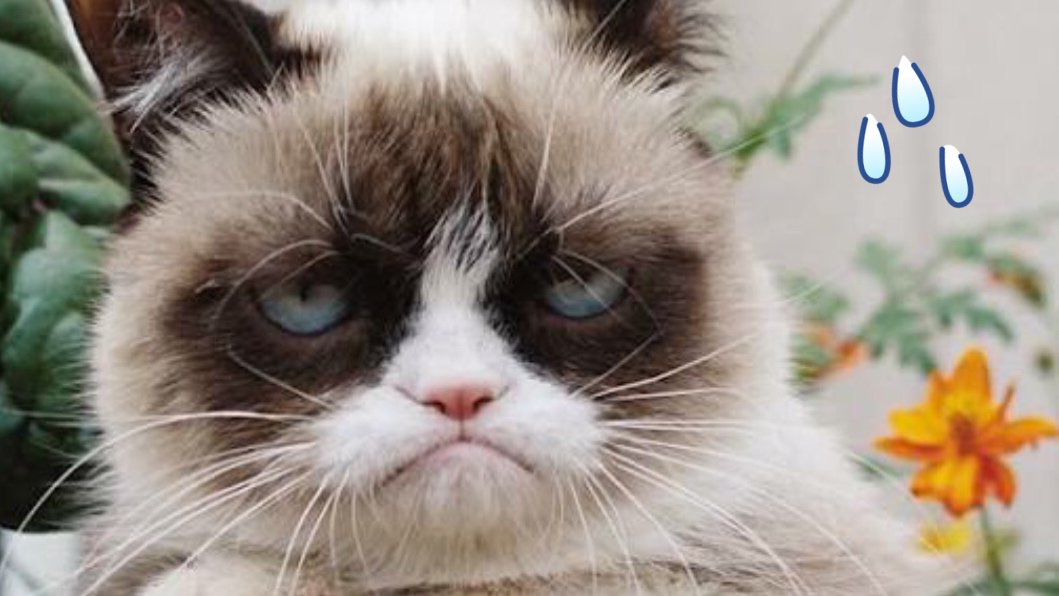 mtaro884's tweet image. 「退陣を迫られた政治家」