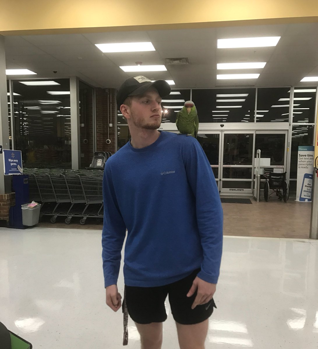 Dalton Craig (@DaltonCraig1303) Twitter(01)