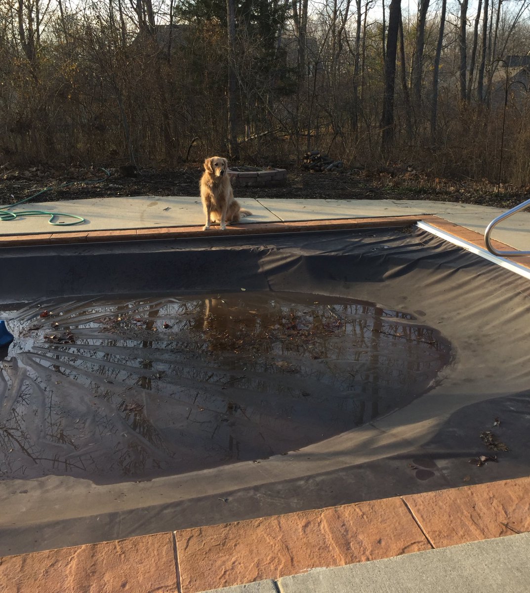 bobertbennett's tweet photo. lame ass chris and brett won't open up the pool #pissed #fluffmaster #sidehoesWYA https://t.co/KqUwLklCb0