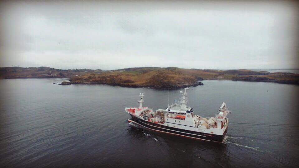 ChefEndaDonegal's tweet photo. #Winter ' flights' #Killybegs #Harbour #chasingtheprize https://t.co/JdeSBuOEZ3