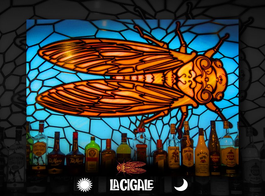 Por un tiempo no publicaremos en Twitter, pero te esperamos en nuestros horarios de siempre:
Lun a vier de 12 a 15 y desde las 18
Sáb 21.30