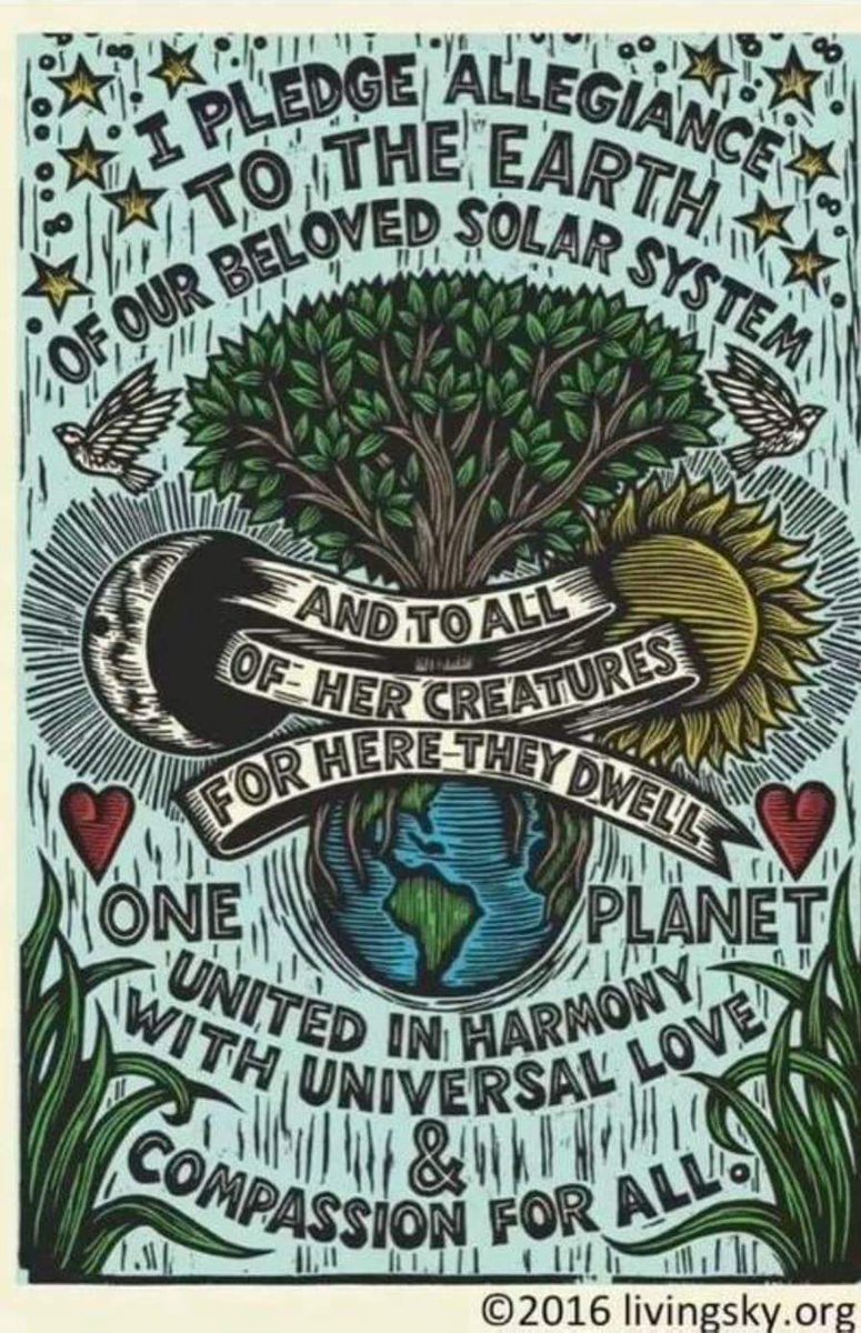 ISF_Coexist's tweet photo. https://t.co/UPeKEK11wL
