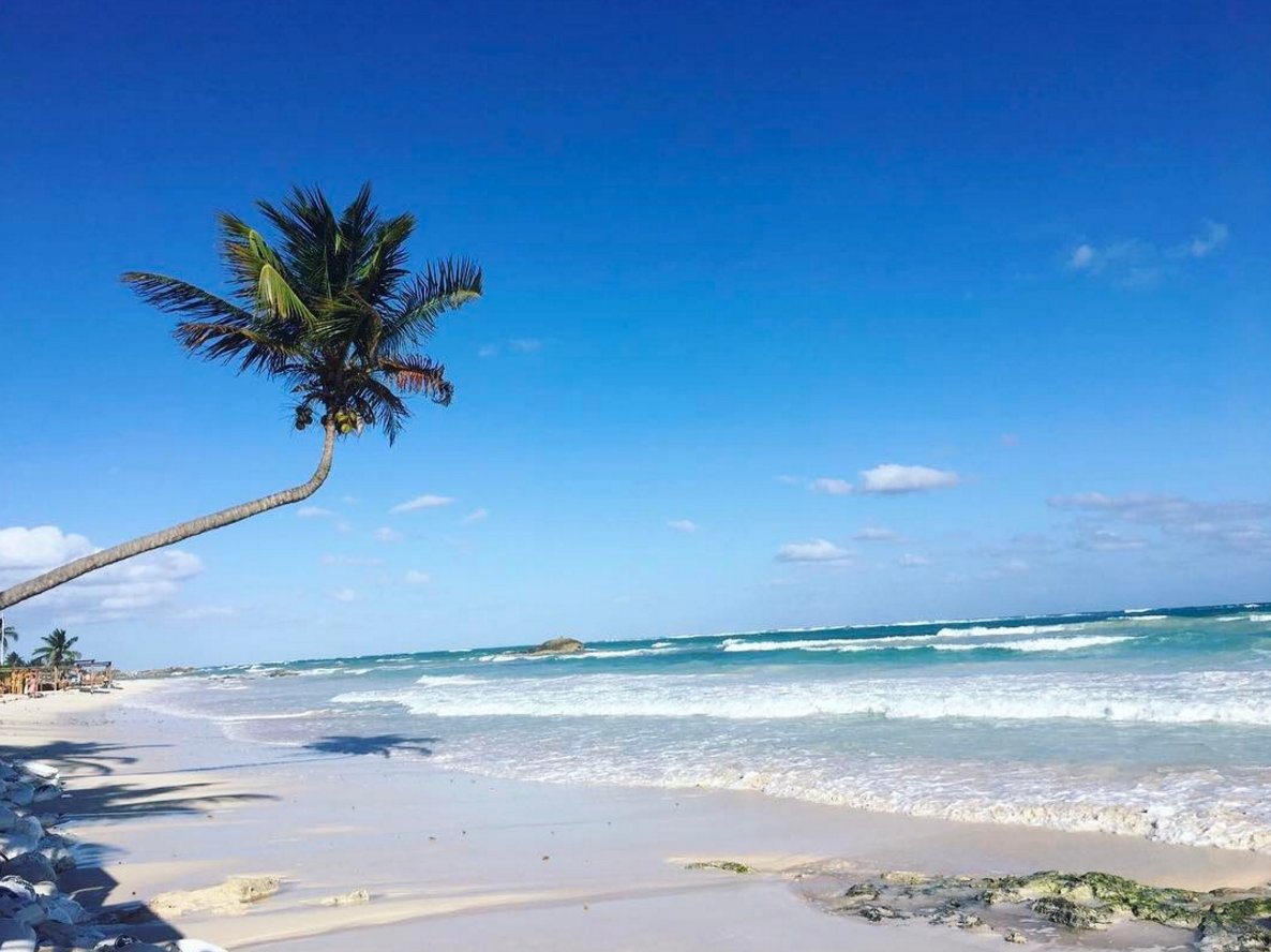 AdversaryMusic's tweet photo. all I ask is for the sun to look at me like a friend.⠀
Tulum 🇲🇽 #mexico #travel #Mondayreplenishment @aharrellphoto https://t.co/bODizPAFVP