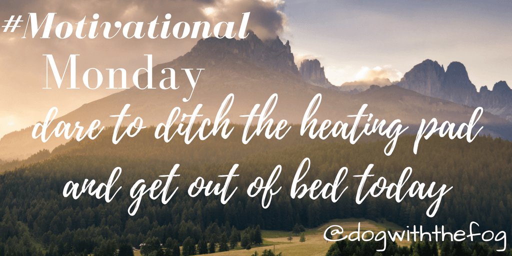 dogwiththefog's tweet image. dogwiththefog.wordpress.com/2017/01/24/86