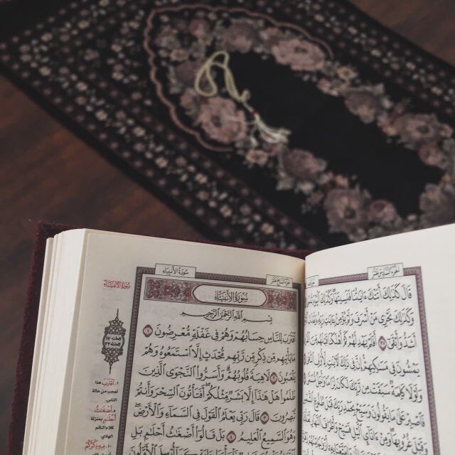 نبض الشمري ، tweet media