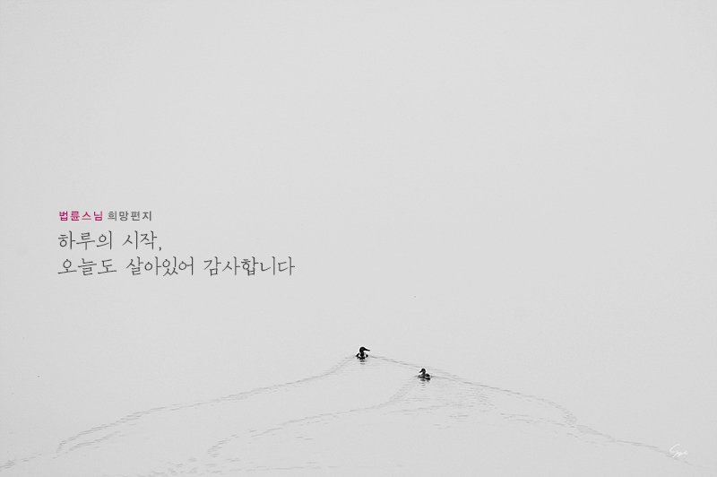 이렇게 기도해보세요~
‘오늘도 건강히 살아 있고,
출근할 직장과 할 수 있는 일이 있으니
감사합니다.'

긍정적으로 바라보면
지금까지 나를 괴롭히던 고민들이
얼마나 사소하고 보잘것없는 것이었는지
보는 눈이 생길 겁니다.