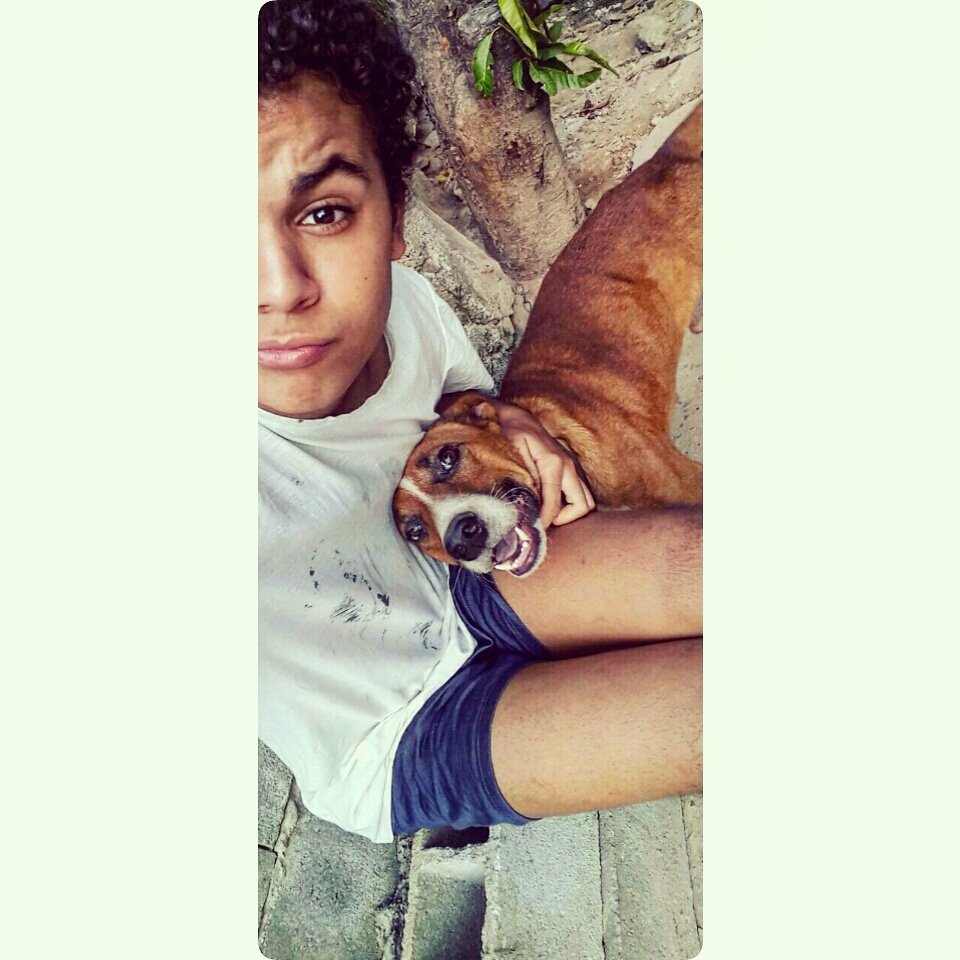 Edbailarino's tweet photo. Cadinho💙😍 https://t.co/hyYxITXLmZ