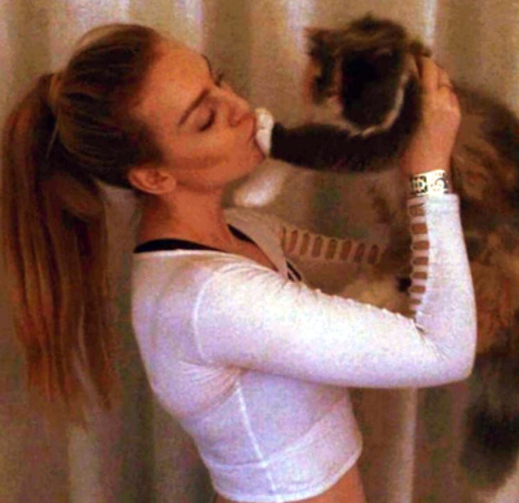 acnhwasa's tweet photo. "I'd spend all nine lives with you." 🐾❤️ @LittleMix #RipPrada https://t.co/rvfiHTLUaO