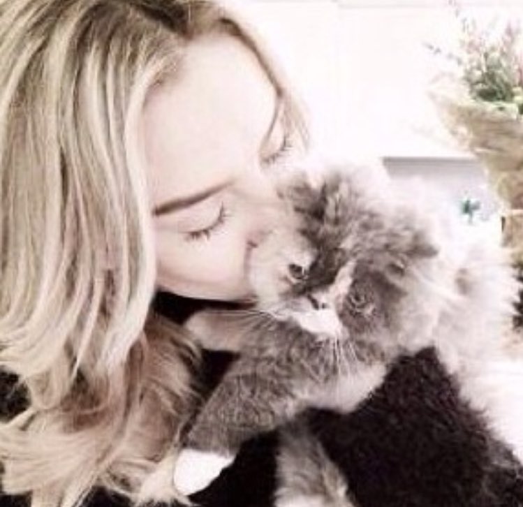 acnhwasa's tweet photo. "I'd spend all nine lives with you." 🐾❤️ @LittleMix #RipPrada https://t.co/rvfiHTLUaO