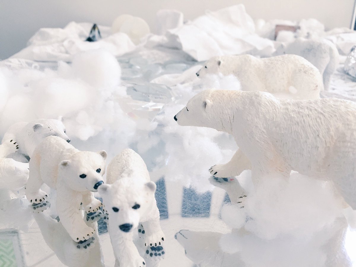 Is that a polar bear I see? Exploring our BIG questions about polar animals through play and inquiry. #KeatingEd #Brrrr