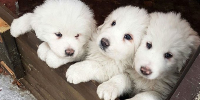 View image on Twitter View image on Twitter