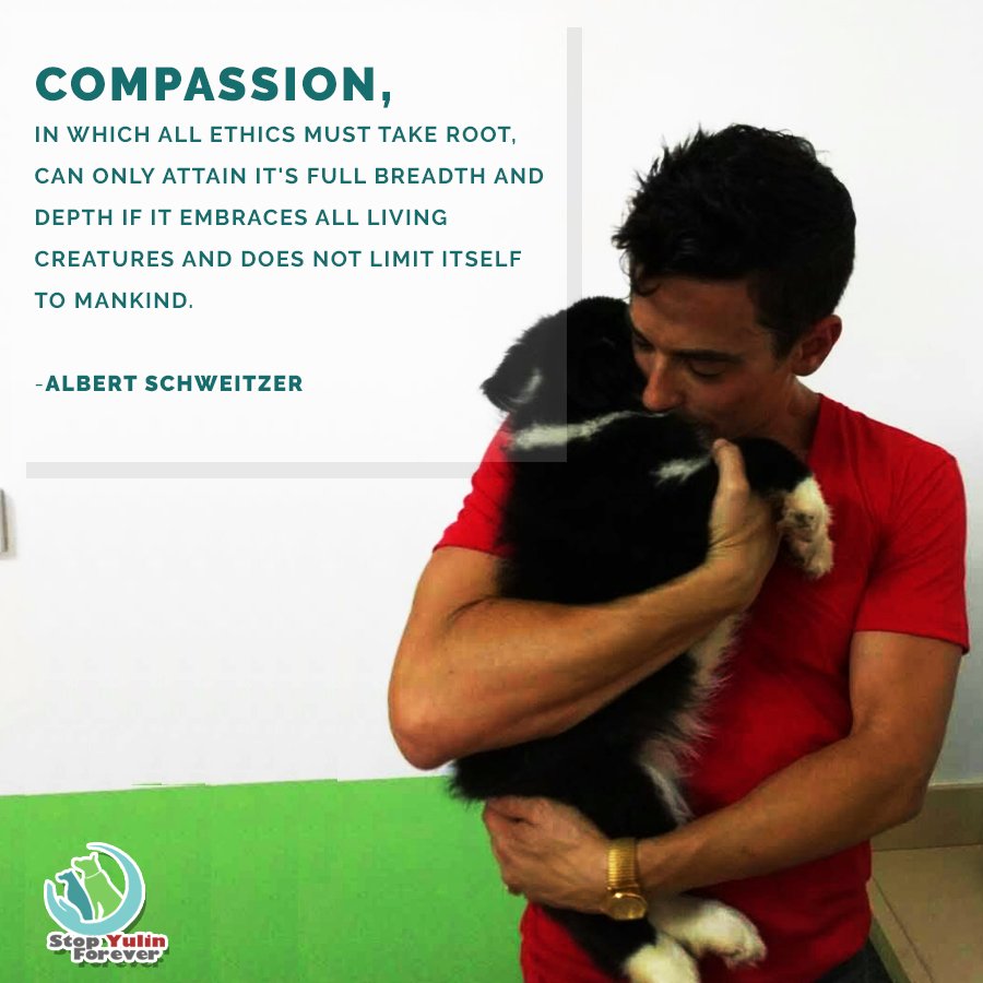 stopyulinforevr's tweet photo. Start your week right by reaching out to comfort abused and #homeless #dogs. >> https://t.co/Gz4RoOtvf0 #allyforchange #stopyulinforever https://t.co/z2dlkRhZKK
