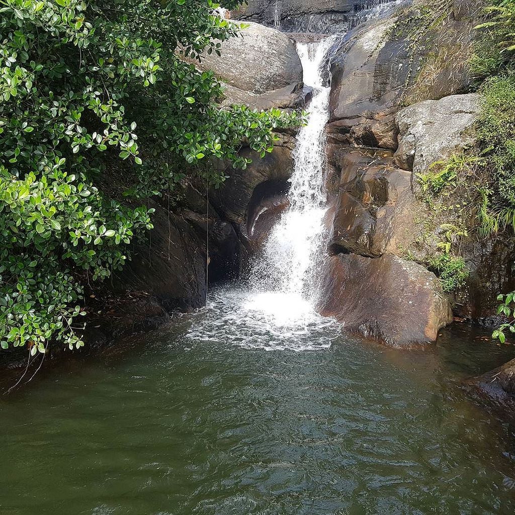 nomadslanka's tweet photo. Natural pool's in waterfalls are so nice.. #waterfall #waterfalls #waterfallbraid #pool #naturalpool #naturalpools … https://t.co/Q2qVN9UDbM
