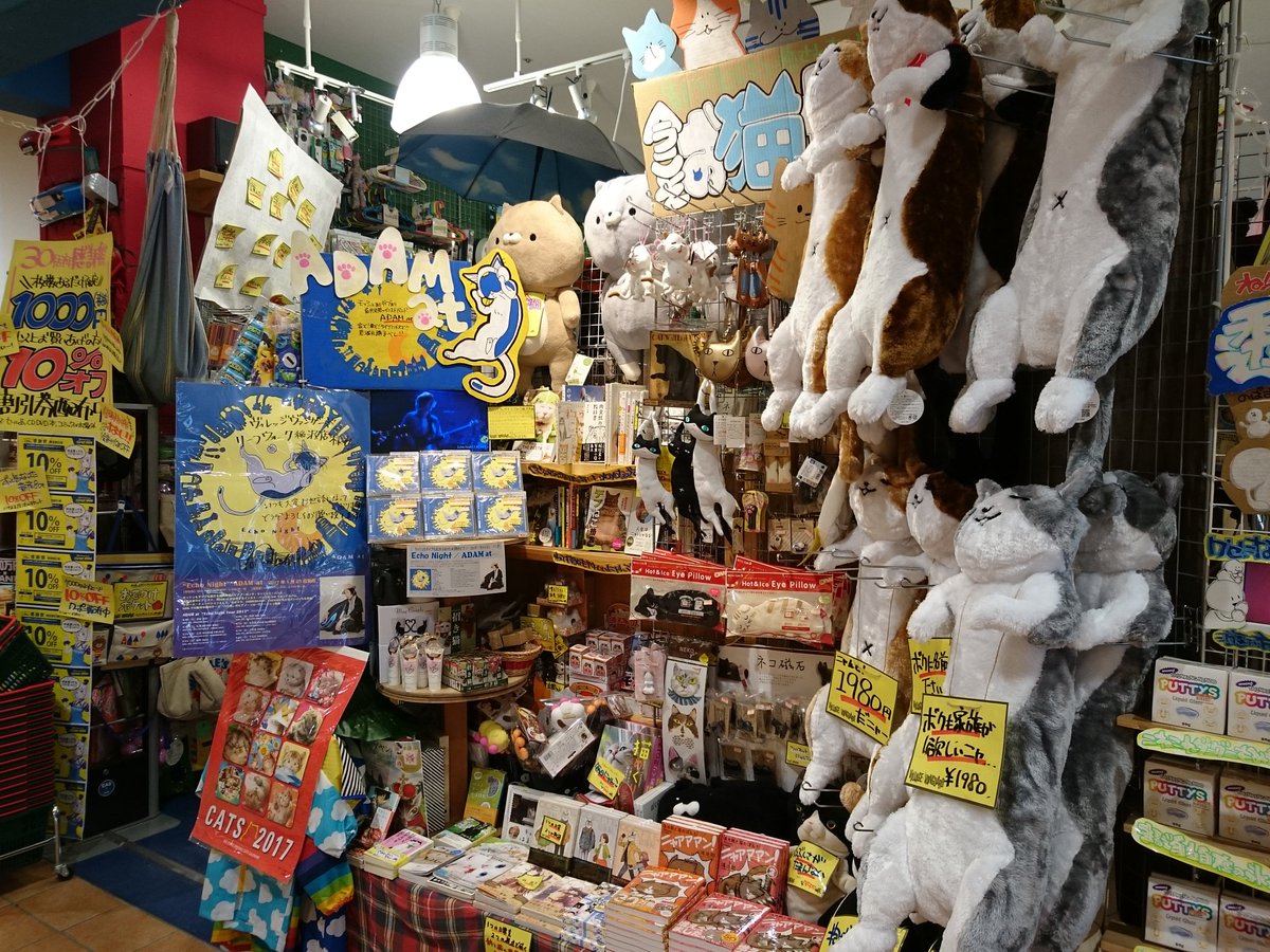 🆕🆕今日フラゲの注目新譜🆕🆕
ADAM at「Echo Night」
ADAM atの新しい音を耳で聴き、心躍らせ、身体全体で感じるべし(ノ)`ω´(ヾ)
心躍り、身体踊る1枚がここに完成💃🎵
店頭で展開してるので、猫と共に癒されて下さい！
#ADAMat #EchoNight