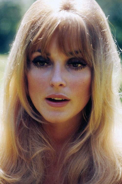 Happy bday sharon tate, rip you beautiful soul   