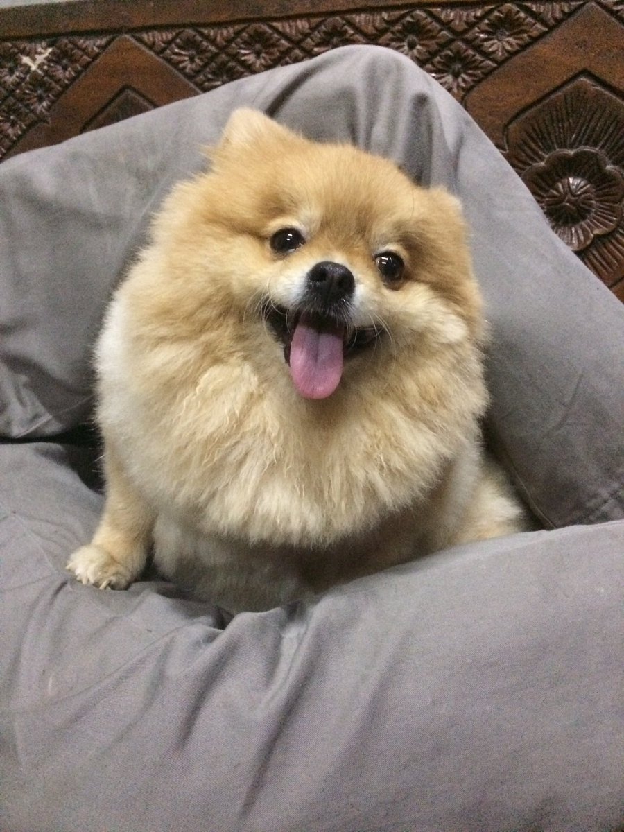 แม่ไม่กินอิ่มนอนหลับสบายๆๆๆๆๆๆๆ😜😜😜😜😜