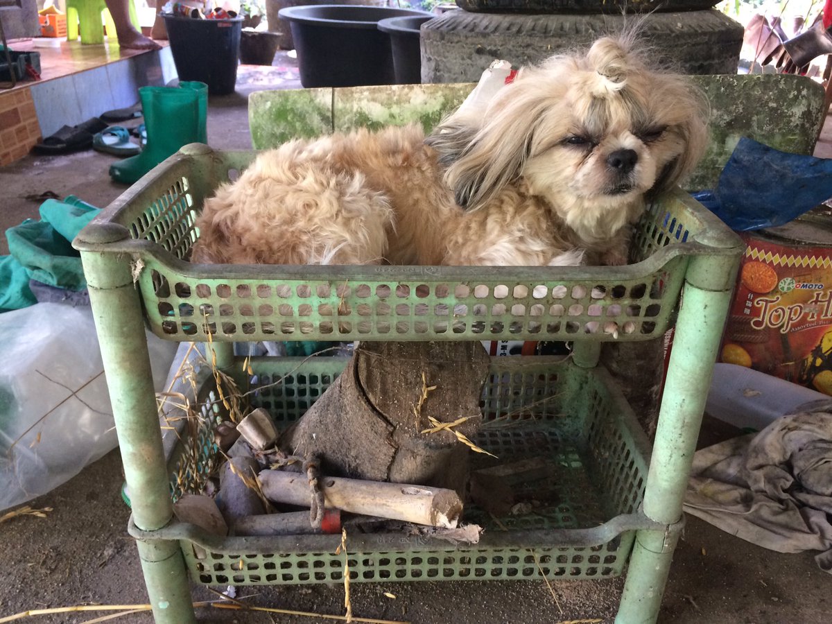 สบายอย่างแรงนิ..............