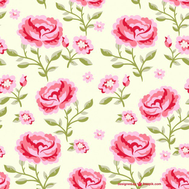 Zie214's tweet photo. Flowers https://t.co/8HPwv7JCLa https://t.co/0GdmZ3olrx