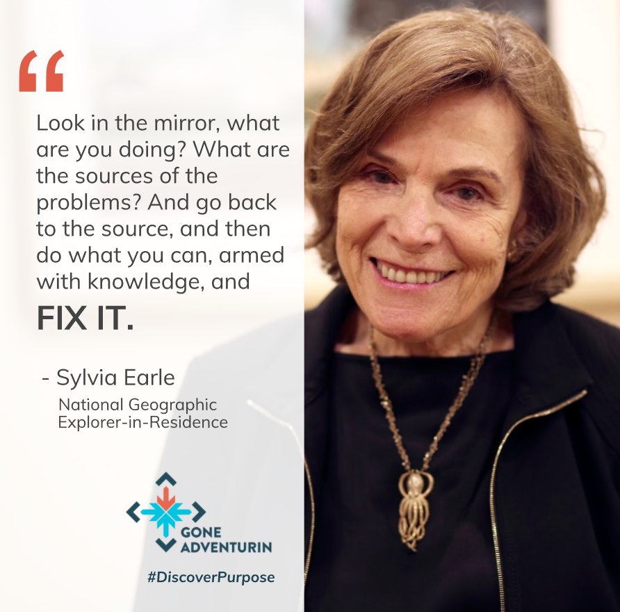 GA Circular tweet media