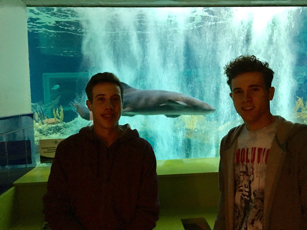PuehseTennis's tweet photo. Had a fun time @OdySeaAquarium the other day! Believe it or not, this pic was taken inside the restroom 😅 #realshark https://t.co/yAbHdRwH7S