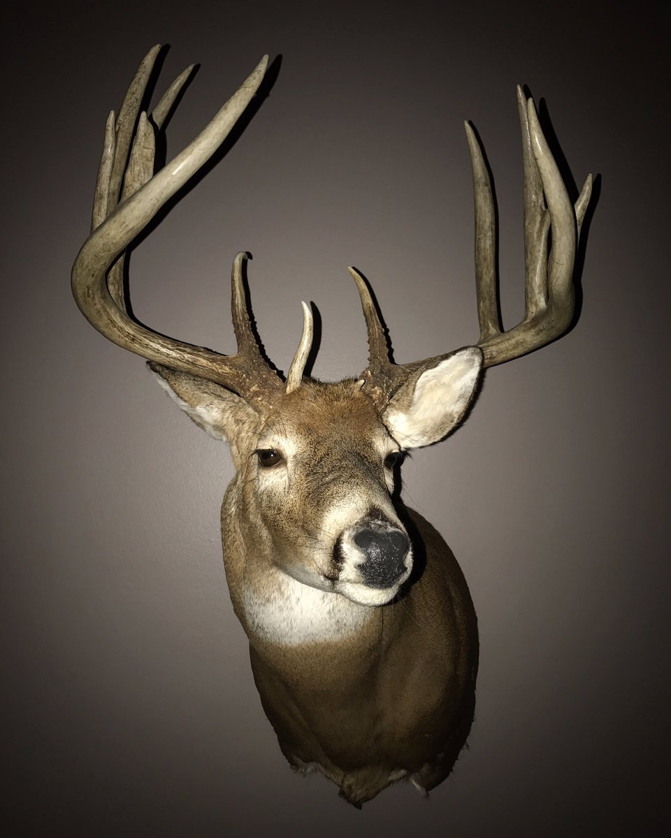 RETWEET if you're dreaming of big bucks tonight 😍😴 #LoveToHunt