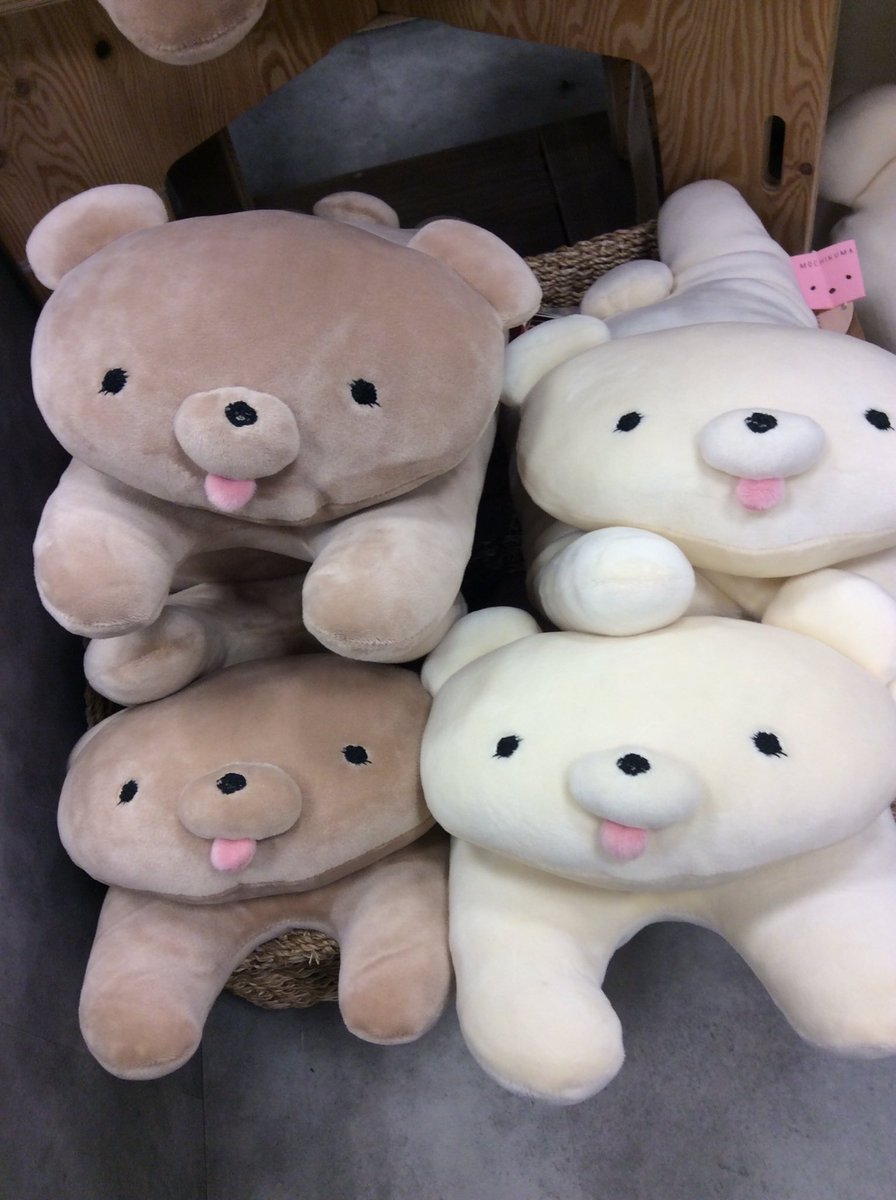 くまのぬいぐるみ Amazon.co.jp: キュート販売 ぬいぐるみ 森のクマさん M Z0388