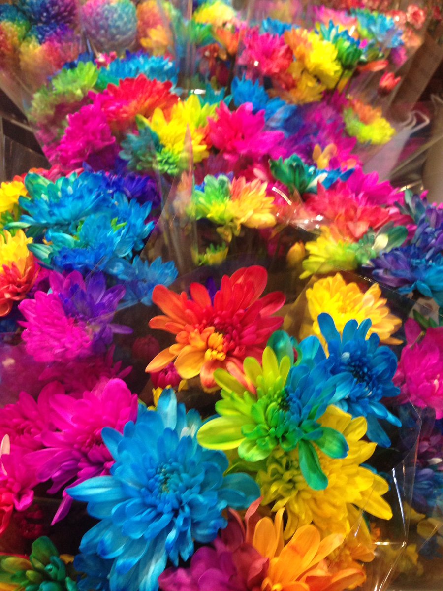 Flowers all the colours of the rainbow 🌈 at #thekitchens Robina