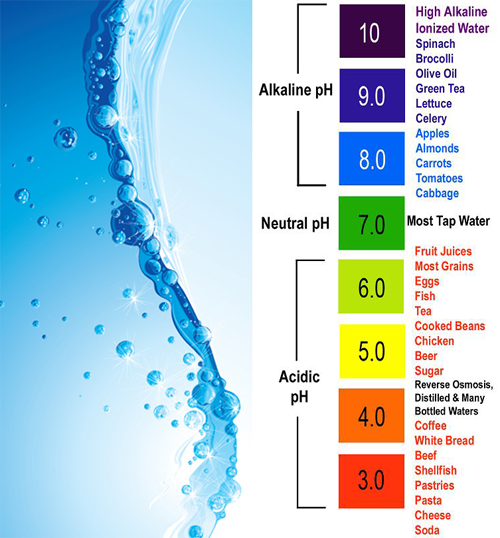 HL4Y's tweet image. ON SALE 20% off! – The #alkalinewaterfilterpitcher is an easy way to start making Alkaline water instantly 
bit.ly/alkaline-water…