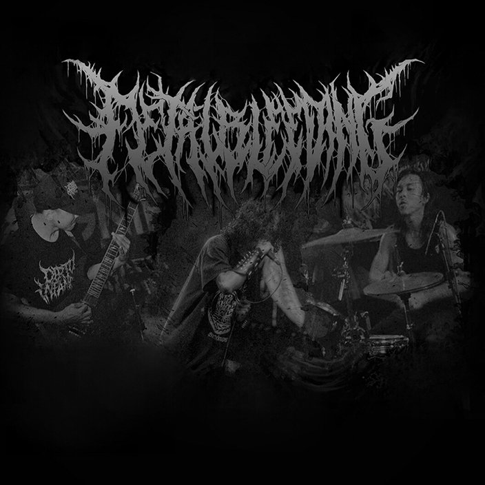 New line up for 2nd album 2017