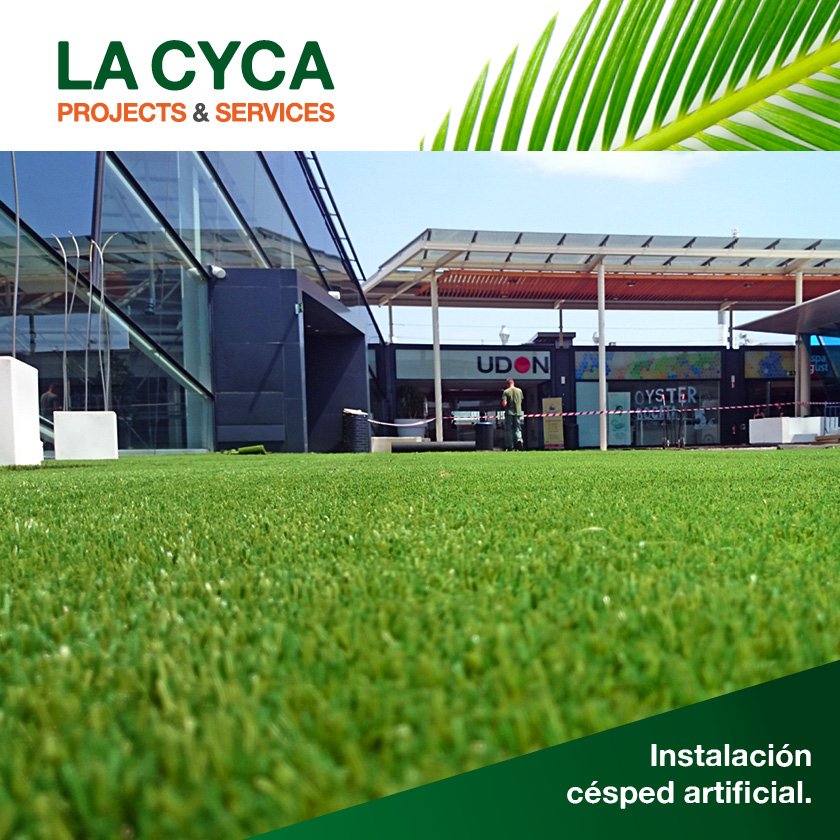 la_cyca_com's tweet photo. ¡#Césped artificial o real? El nuestro, cuesta distinguirlo ;) #jardinería #lacyca https://t.co/l2WPgPQiRS