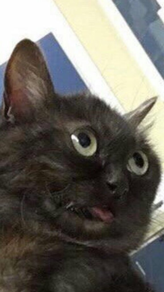 <a href="/Beran_Varo/">Beran</a> Makes this face at him and runs away