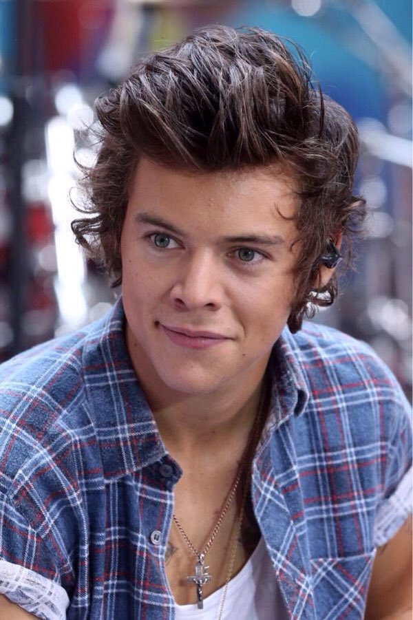 zapvs's tweet photo. harry styles 

- nice to everyone 
- heavenly voice
- treats his fans like queens
- such a humble angel
- soft porn https://t.co/8aibTUD3Gl