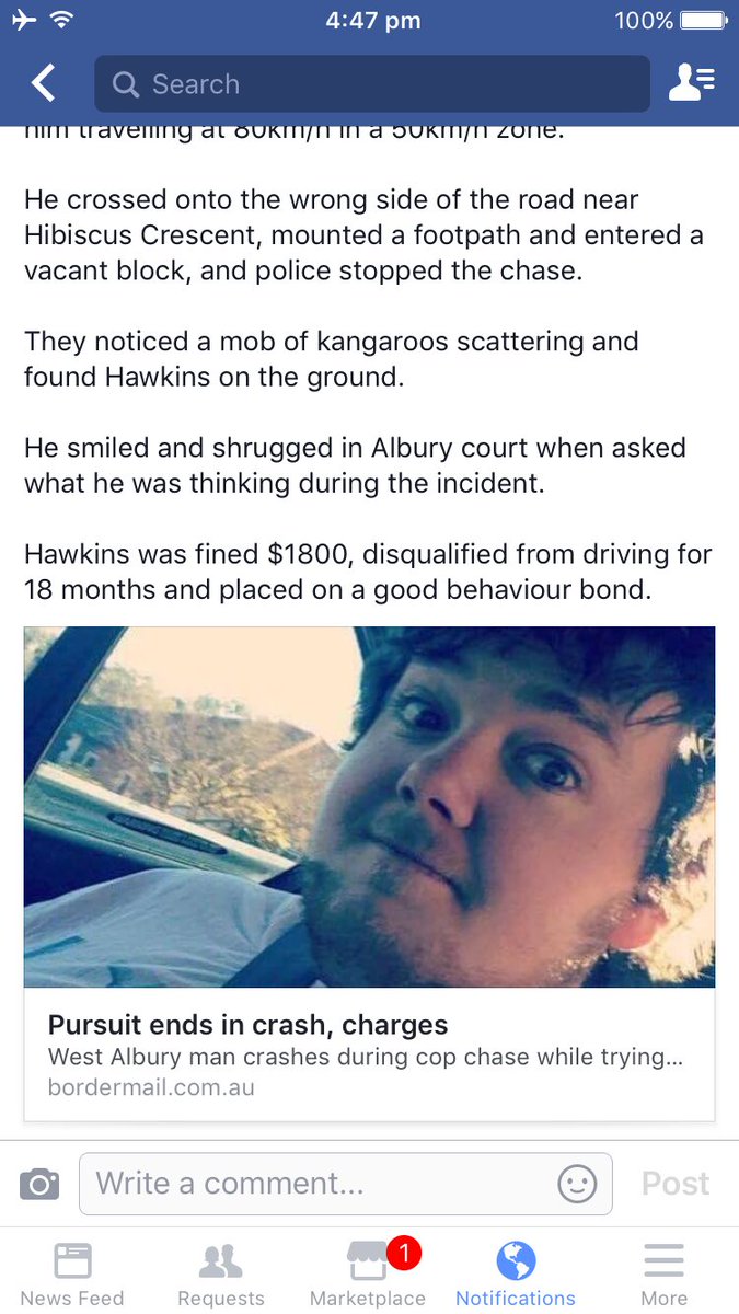 Nacca_Pakka's tweet image. @yoDeboo