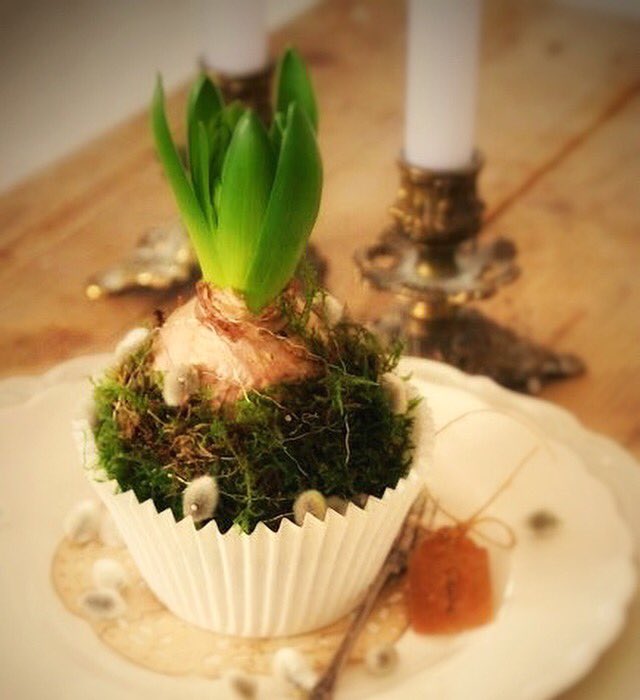 Op deze manier is #verantwoord #snoepen best makkelijk hoor! #flowers #hyacinths