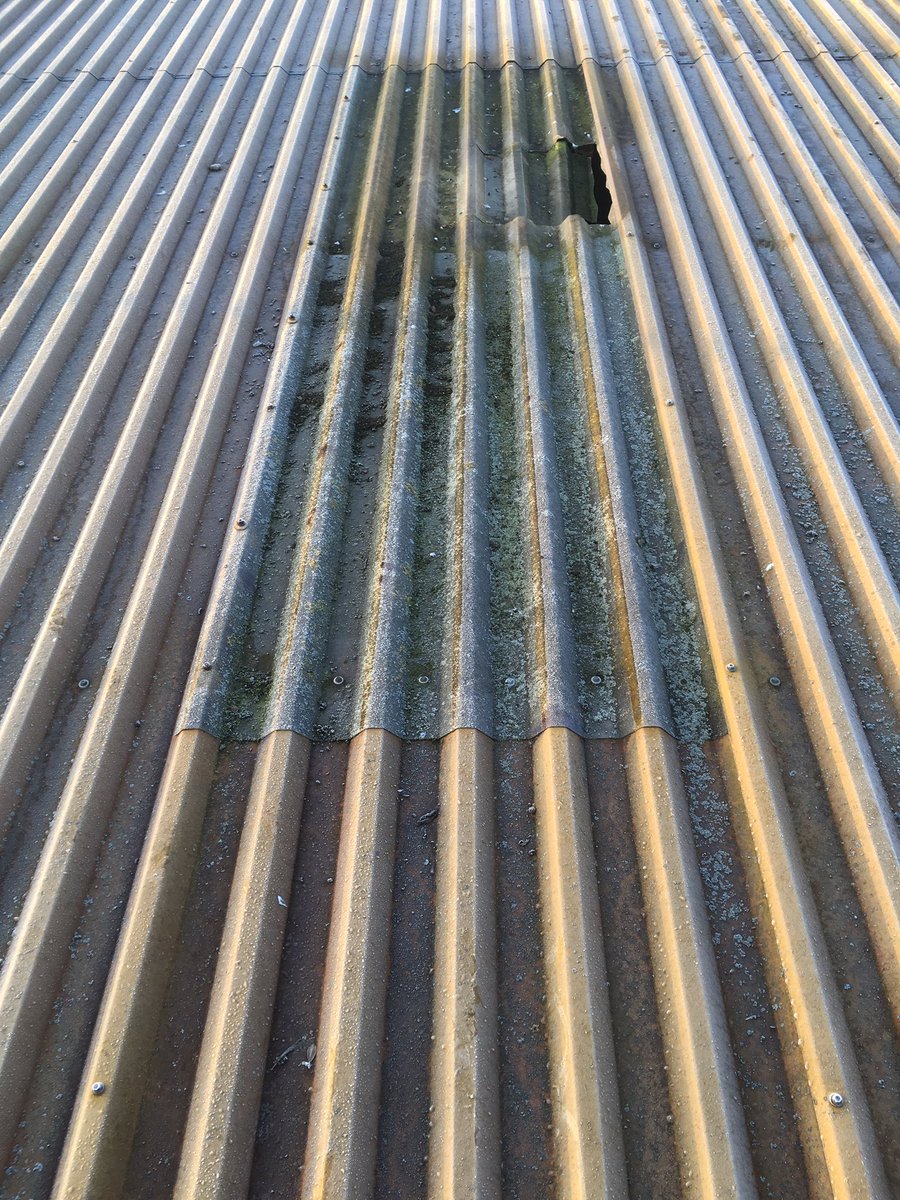 kjsindustrial's tweet photo. Rooflight replacement today . #roofing #cladding #rooflight #industrialroofing https://t.co/gcjpJgwsDW