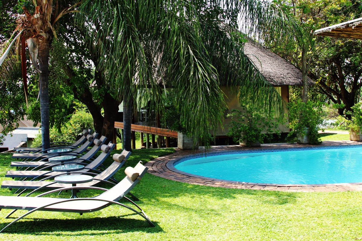 BuhalaLodge's tweet photo. A warm #summer day at #Buhala. The #sun is glistening on the #pool, perfect for a #Swim and watching the animals at the #CrocodileRiver https://t.co/sic7k4bVav