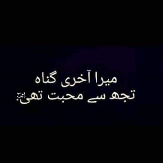 MusawarManzoor4's tweet photo. https://t.co/frQD3TxZod